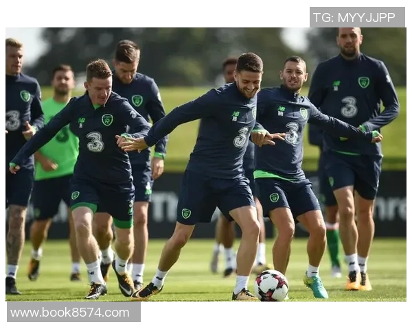 法国与爱尔兰足球历史交锋记录分析与回顾