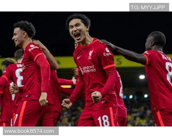 诺维奇主场迎战布伦特福德谁能在英超赛场上笑到最后